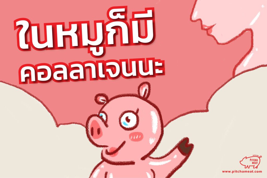 คอลลาเจนในเนื้อหมู